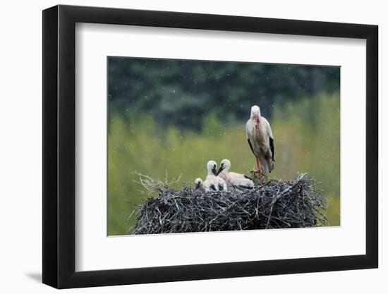 Dady...-Nicolás Merino-Framed Photographic Print