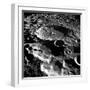 Daedalus Creator-null-Framed Photographic Print