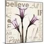 Daffodil Believe-Albert Koetsier-Mounted Art Print
