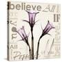 Daffodil Believe-Albert Koetsier-Stretched Canvas