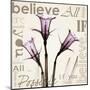 Daffodil Believe-Albert Koetsier-Mounted Art Print