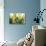 Daffodil Bouquet-Karyn Millet-Stretched Canvas displayed on a wall