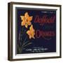 Daffodil Brand - Covina, California - Citrus Crate Label-Lantern Press-Framed Art Print