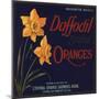 Daffodil Brand - Covina, California - Citrus Crate Label-Lantern Press-Mounted Premium Giclee Print