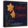 Daffodil Brand - Covina, California - Citrus Crate Label-Lantern Press-Framed Stretched Canvas