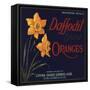Daffodil Brand - Covina, California - Citrus Crate Label-Lantern Press-Framed Stretched Canvas