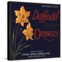 Daffodil Brand - Covina, California - Citrus Crate Label-Lantern Press-Stretched Canvas