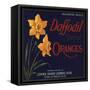 Daffodil Brand - Covina, California - Citrus Crate Label-Lantern Press-Framed Stretched Canvas