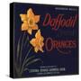 Daffodil Brand - Covina, California - Citrus Crate Label-Lantern Press-Stretched Canvas