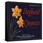 Daffodil Brand - Covina, California - Citrus Crate Label-Lantern Press-Framed Stretched Canvas