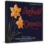 Daffodil Brand - Covina, California - Citrus Crate Label-Lantern Press-Stretched Canvas