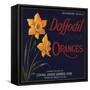 Daffodil Brand - Covina, California - Citrus Crate Label-Lantern Press-Framed Stretched Canvas