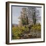 Daffodil Bridge-Bill Makinson-Framed Giclee Print