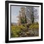 Daffodil Bridge-Bill Makinson-Framed Giclee Print