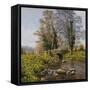 Daffodil Bridge-Bill Makinson-Framed Stretched Canvas
