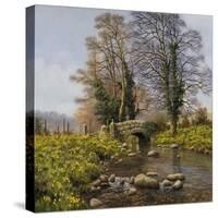 Daffodil Bridge-Bill Makinson-Stretched Canvas