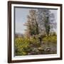 Daffodil Bridge-Bill Makinson-Framed Giclee Print