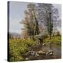 Daffodil Bridge-Bill Makinson-Stretched Canvas