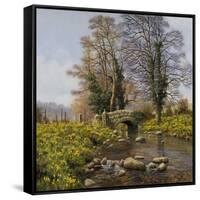 Daffodil Bridge-Bill Makinson-Framed Stretched Canvas