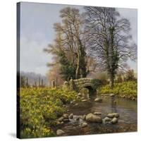 Daffodil Bridge-Bill Makinson-Stretched Canvas