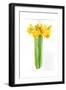 Daffodil Bunch, 2014-John Keeling-Framed Giclee Print