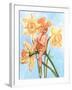 Daffodil Elf-Judy Mastrangelo-Framed Giclee Print