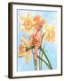 Daffodil Elf-Judy Mastrangelo-Framed Giclee Print