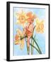 Daffodil Elf-Judy Mastrangelo-Framed Giclee Print