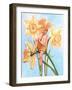 Daffodil Elf-Judy Mastrangelo-Framed Giclee Print