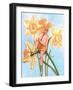 Daffodil Elf-Judy Mastrangelo-Framed Giclee Print