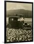 Daffodil Field, Automobile and Mount Rainier, ca. 1929-Marvin Boland-Framed Giclee Print