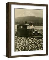 Daffodil Field, Automobile and Mount Rainier, ca. 1929-Marvin Boland-Framed Giclee Print