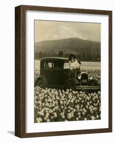 Daffodil Field, Automobile and Mount Rainier, ca. 1929-Marvin Boland-Framed Giclee Print