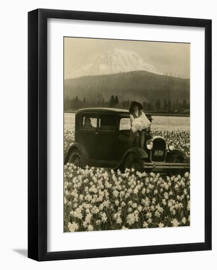 Daffodil Field, Automobile and Mount Rainier, ca. 1929-Marvin Boland-Framed Giclee Print