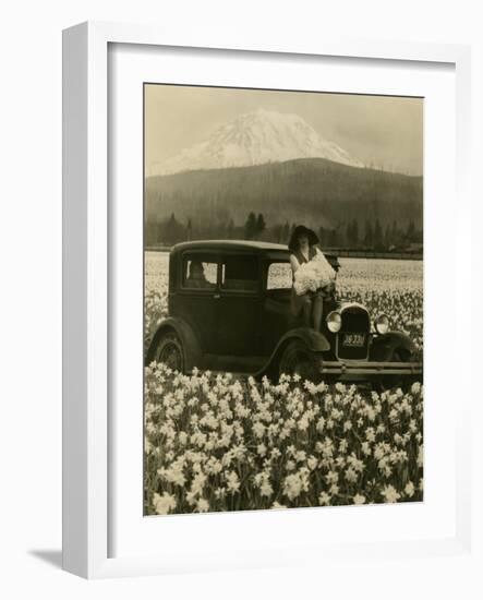 Daffodil Field, Automobile and Mount Rainier, ca. 1929-Marvin Boland-Framed Giclee Print