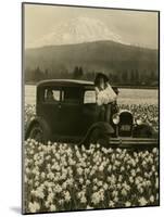 Daffodil Field, Automobile and Mount Rainier, ca. 1929-Marvin Boland-Mounted Giclee Print