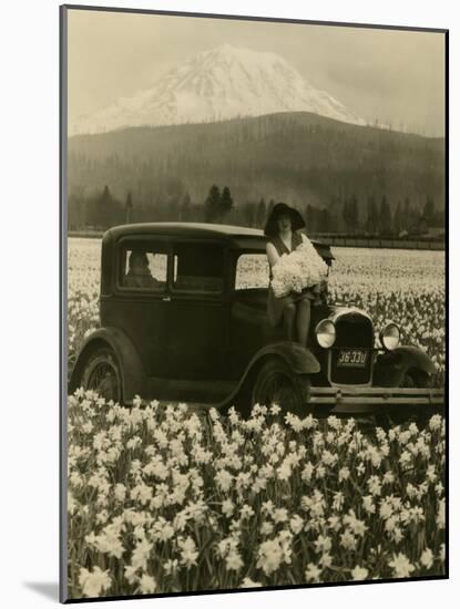 Daffodil Field, Automobile and Mount Rainier, ca. 1929-Marvin Boland-Mounted Giclee Print