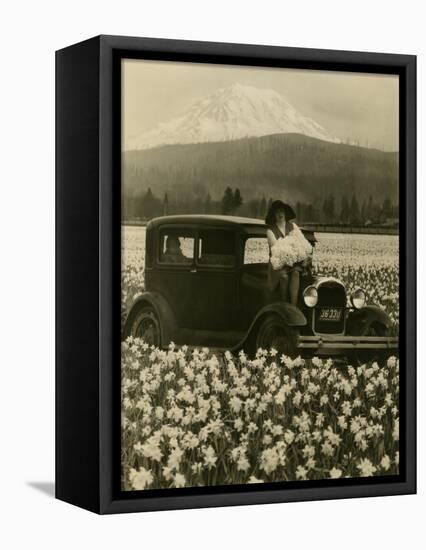 Daffodil Field, Automobile and Mount Rainier, ca. 1929-Marvin Boland-Framed Stretched Canvas