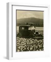 Daffodil Field, Automobile and Mount Rainier, ca. 1929-Marvin Boland-Framed Giclee Print