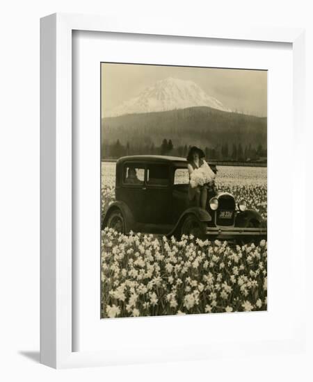 Daffodil Field, Automobile and Mount Rainier, ca. 1929-Marvin Boland-Framed Giclee Print