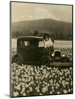 Daffodil Field, Automobile and Mount Rainier, ca. 1929-Marvin Boland-Mounted Giclee Print