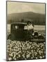 Daffodil Field, Automobile and Mount Rainier, ca. 1929-Marvin Boland-Mounted Giclee Print