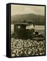 Daffodil Field, Automobile and Mount Rainier, ca. 1929-Marvin Boland-Framed Stretched Canvas