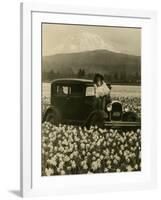 Daffodil Field, Automobile and Mount Rainier, ca. 1929-Marvin Boland-Framed Giclee Print