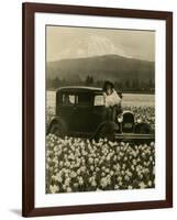 Daffodil Field, Automobile and Mount Rainier, ca. 1929-Marvin Boland-Framed Giclee Print