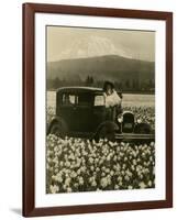 Daffodil Field, Automobile and Mount Rainier, ca. 1929-Marvin Boland-Framed Giclee Print