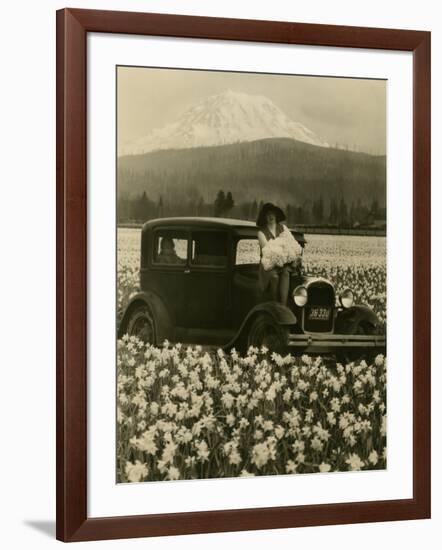 Daffodil Field, Automobile and Mount Rainier, ca. 1929-Marvin Boland-Framed Giclee Print