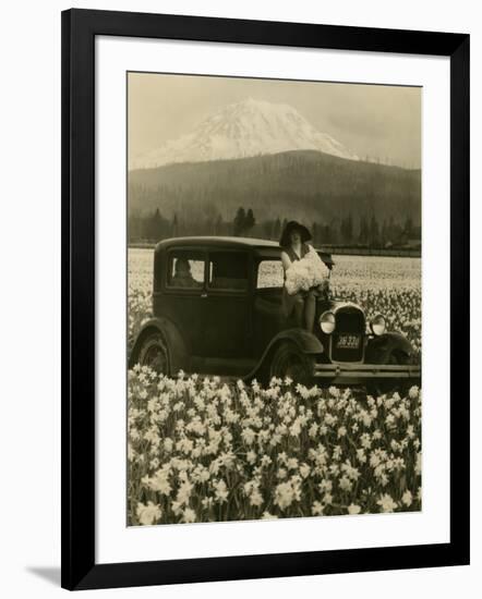 Daffodil Field, Automobile and Mount Rainier, ca. 1929-Marvin Boland-Framed Giclee Print