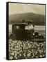 Daffodil Field, Automobile and Mount Rainier, ca. 1929-Marvin Boland-Framed Stretched Canvas