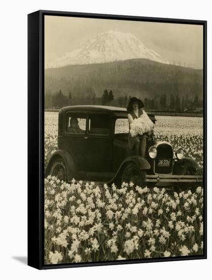 Daffodil Field, Automobile and Mount Rainier, ca. 1929-Marvin Boland-Framed Stretched Canvas